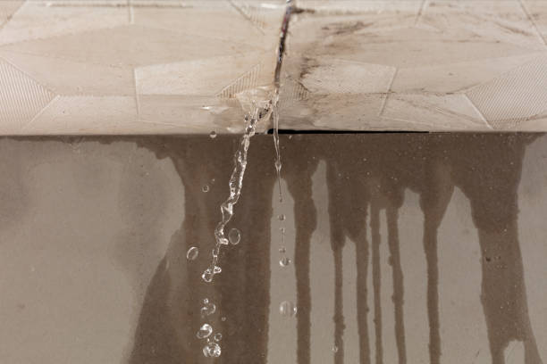 Professional Water Damage Inspection technician working in Dade City, FL